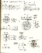 IMG_0064.jpg