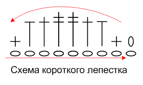 Схема вязания подсолнуха (короткий лепесток)